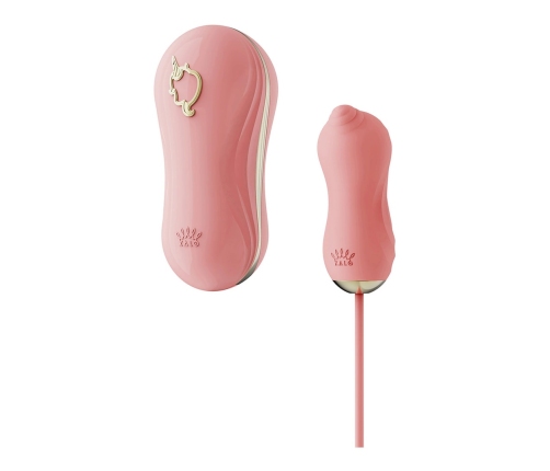 Sucking Vibrator with Pump