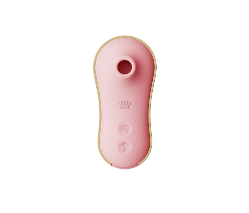Sucking Vibrator with Pump and Different Attachments