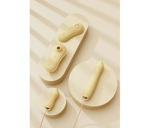 Sucking Vibrator with Pump and Different Attachments