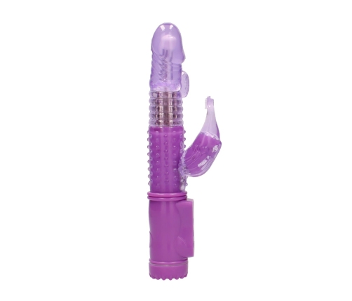 Vibrating Dolphin