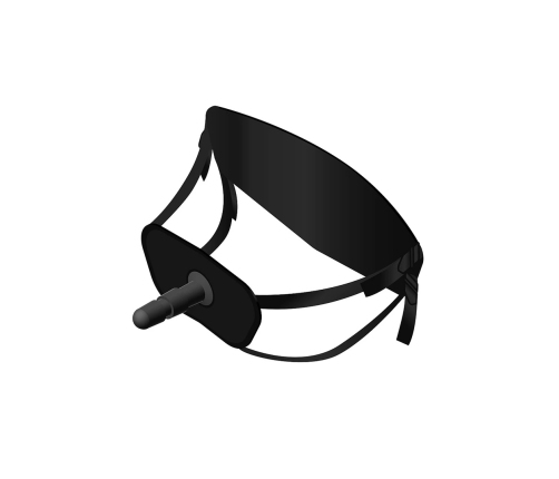 Harness and Attachment