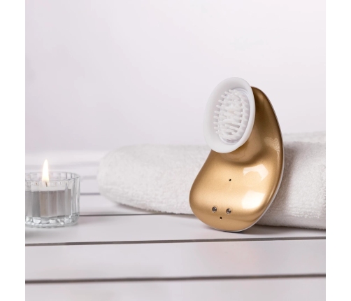 Twitch - Handsfree Suction and Vibration Toy