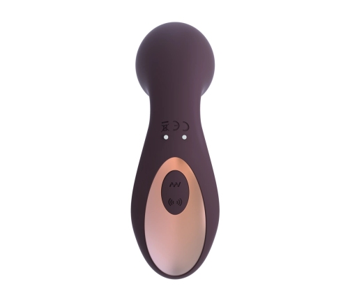 Desirable - Bendable Air Pulse Vibrator