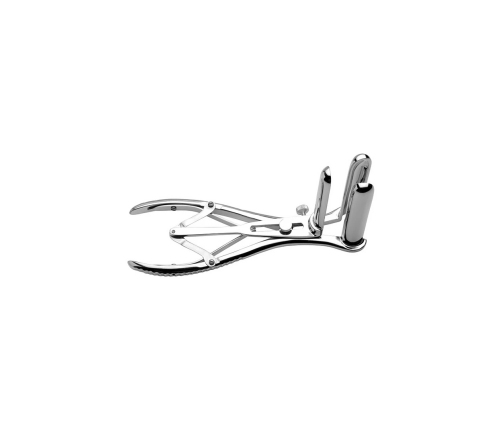 Anal Speculum
