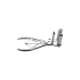 Anal Speculum