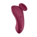 Sexy Secret - Panties Vibrator