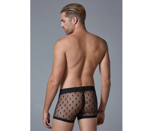 Men's Star Shorts - S/M