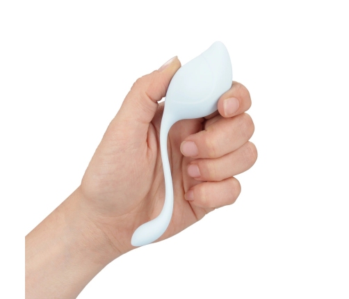 Loveline Pelvic Stem Kegel Kit Multicolor - Set of 5 Weighted Trainers