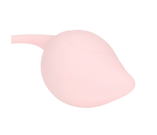 Loveline Pelvic Stem Kegel Kit Multicolor - Set of 5 Weighted Trainers