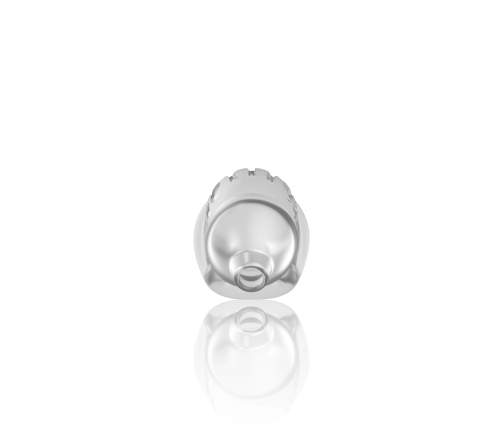 Model 29 - TPE Chastity Cage - Transparent