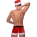 St Dick Costume - L/XL