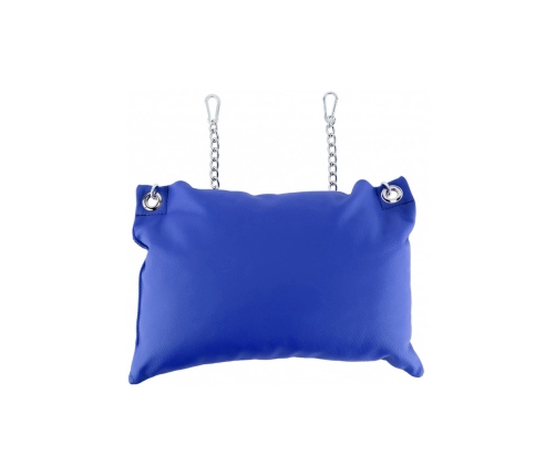 Leather Pillow