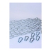 KIT 5 X 120 cm Large Link Chain + 10 Carabiners