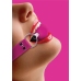 Solid Ball Gag