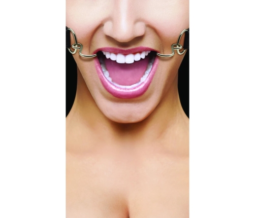 Hook Gag