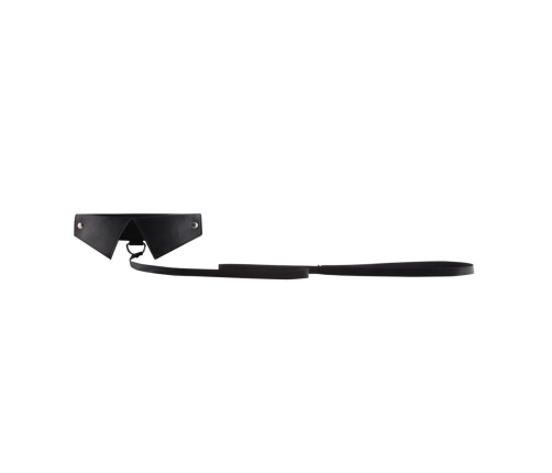 Exclusive Collar  Leash