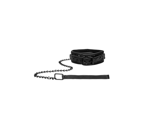 Collar with Leash