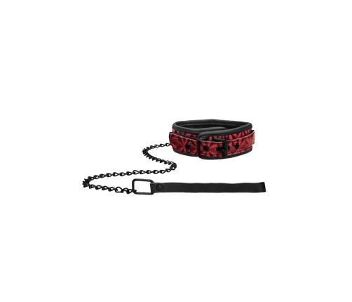 Collar with Leash