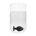 Swirled Butt Plug Set - Black