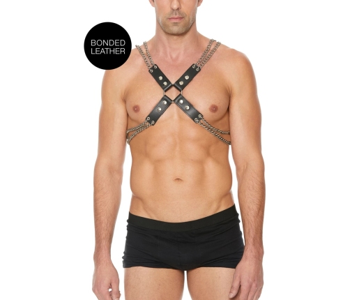 Chain and Chain Harness