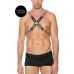Chain and Chain Harness