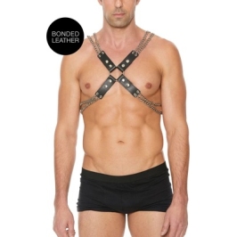 Chain and Chain Harness