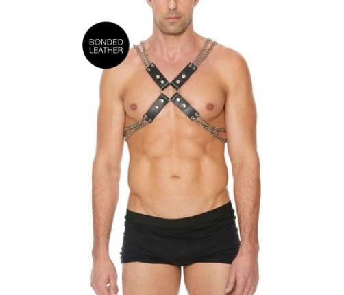 Chain and Chain Harness