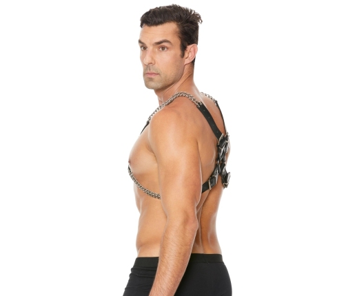 Chain and Chain Harness