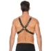 Chain and Chain Harness
