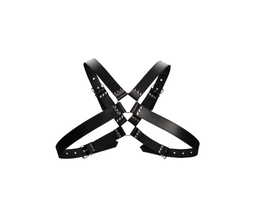 Leather Harness with Large Buckle - One Size