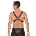 Leather Harness with Large Buckle - One Size