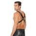 Leather Harness with Large Buckle - One Size