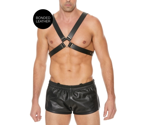 Leather Harness with Large Buckle - One Size