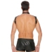 Men's Harness with Collar - One Size