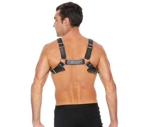 Leather Bulldog Harness with Buckles - L/XL