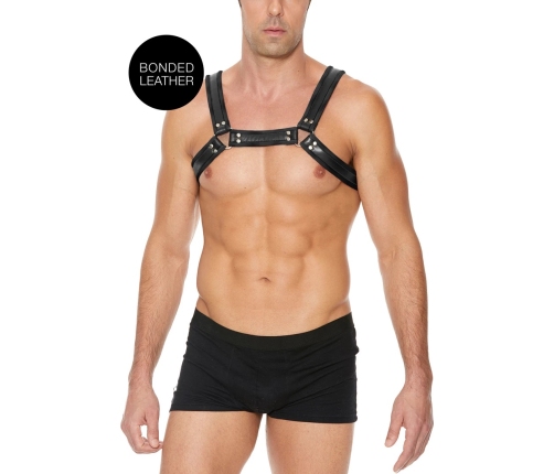 Leather Bulldog Harness with Buckles - L/XL