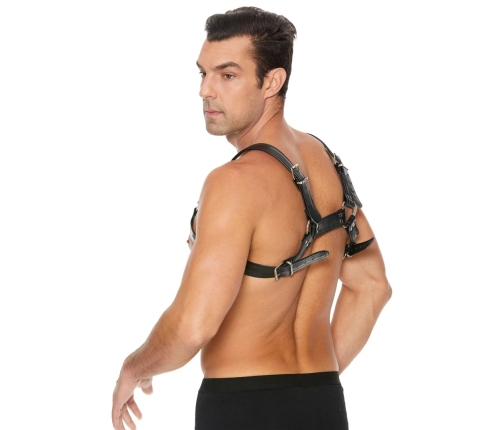 Leather Bulldog Harness with Buckles - L/XL