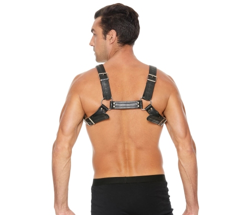 Leather Bulldog Harness with Buckles - S/M