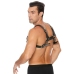 Leather Bulldog Harness with Buckles - S/M