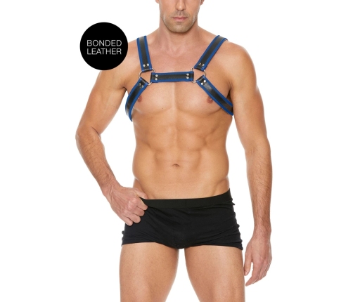 Leather Bulldog Harness with Buckles - L/XL