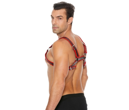 Leather Bulldog Harness with Buckles - L/XL