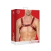 Leather Bulldog Harness with Buckles - L/XL