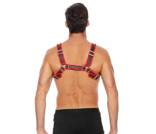 Leather Bulldog Harness with Buckles - L/XL