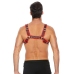 Leather Bulldog Harness with Buckles - L/XL