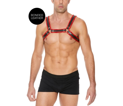 Leather Bulldog Harness with Buckles - L/XL