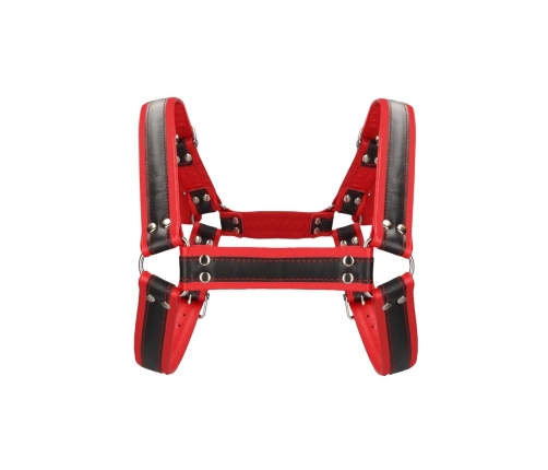 Leather Bulldog Harness with Buckles - L/XL
