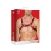Leather Bulldog Harness with Buckles - S/M