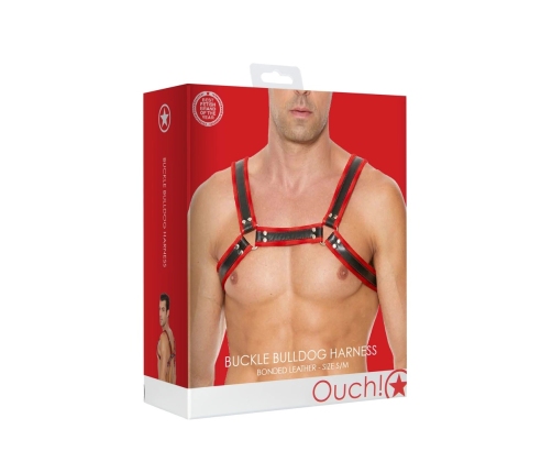 Leather Bulldog Harness with Buckles - S/M
