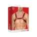 Leather Bulldog Harness with Buckles - S/M