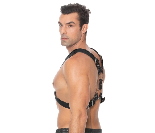 Scottish Leather Harness - S/M